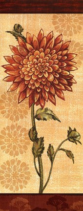Dahlia IV