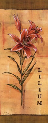 Les Lys III