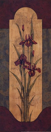Greek Iris I