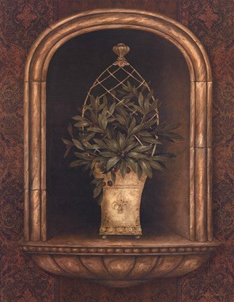 Olive Topiary Niches II