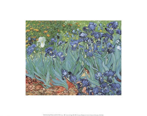Irises in the Garden, Saint-Remy, c.1889