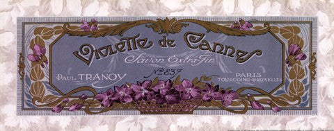 Violette De Cannes - Grande