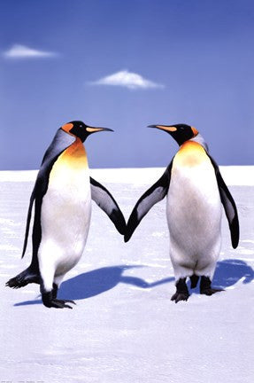 Penguin Love