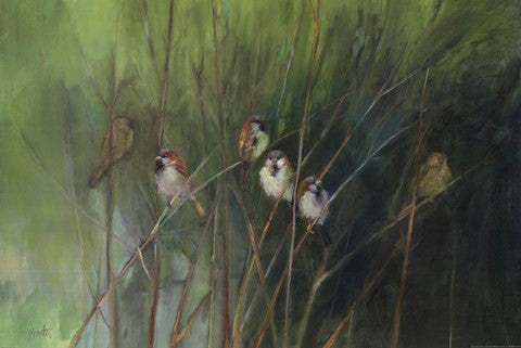 Summer Sparrows