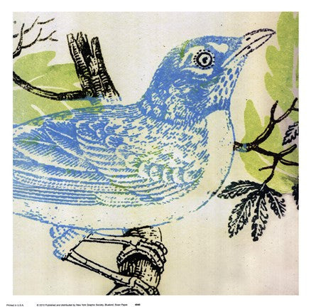 Bluebird