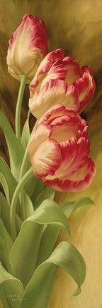Spring's Parrot Tulip I