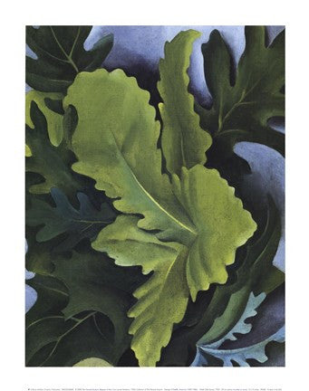 Green Oak Leaves