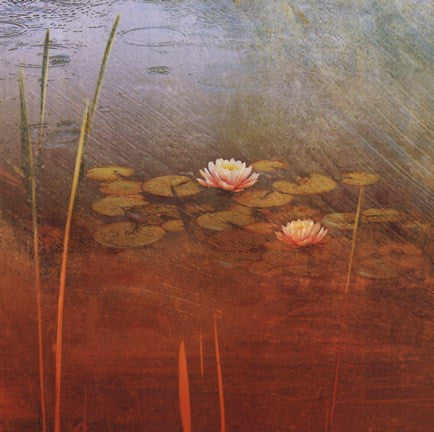 Pond Lilies II