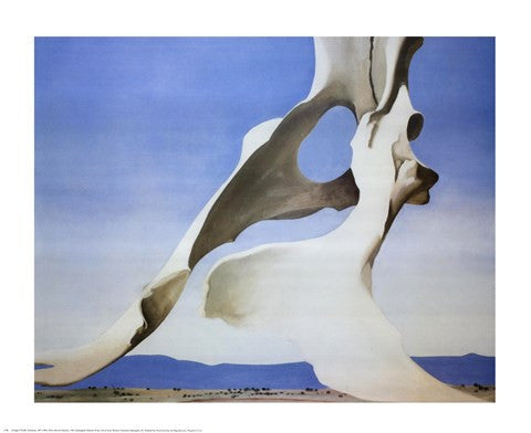 Pelvis with the Distance
