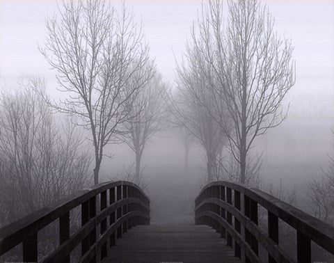 Bridge Over Troubled Waters