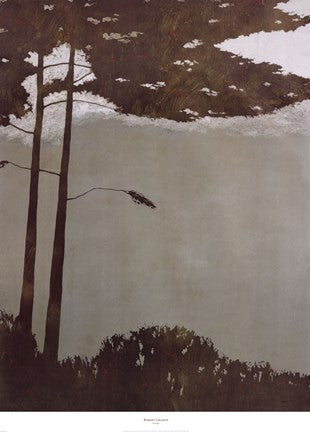 Canopy