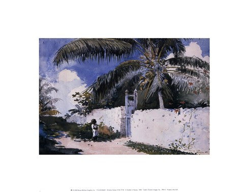 A Garden in Nassau, 1885