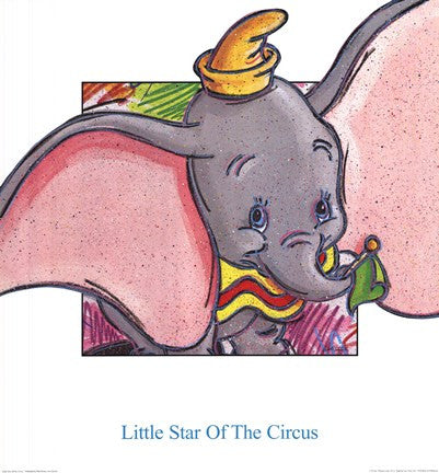 Little Star of the Circus