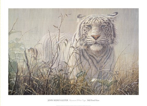Monsoon- White Tiger (detail)