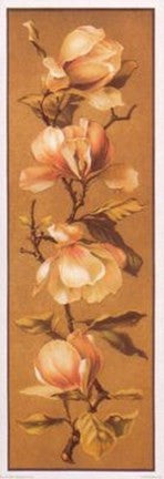 Magnolias