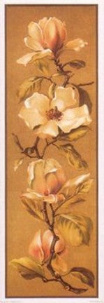 Magnolias