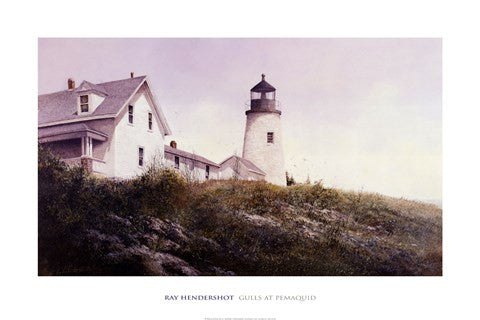 Gulls at Pemaquid