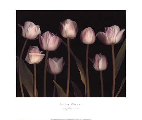 Spring Chorus