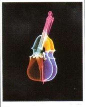 Bass