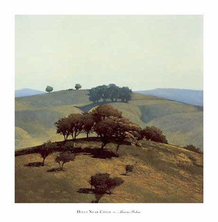 Hills Near Chico