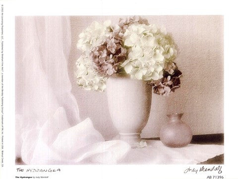 The Hydrangea