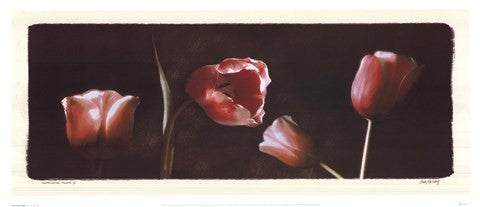 Illuminating Tulips I
