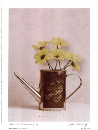 Spring Flowers ll