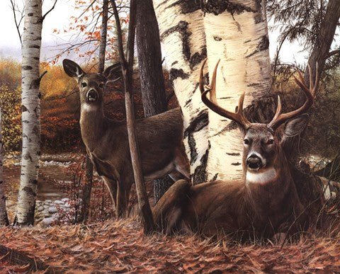 Autumnos Majesty