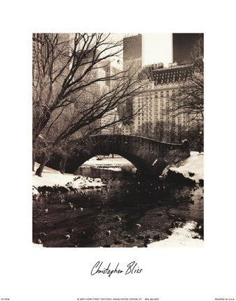 Central Park Bridges IV