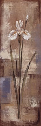 Spring Grace IV