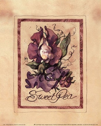 Vintage Sweet Pea