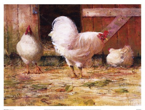 White Leghorns