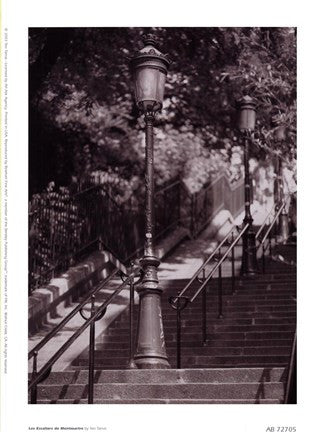 Les Escaliers De Montmartre