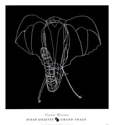 Elephas Maximus