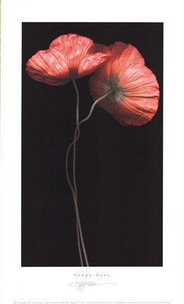 Poppy Duet