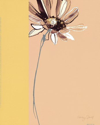 Simplicity 1