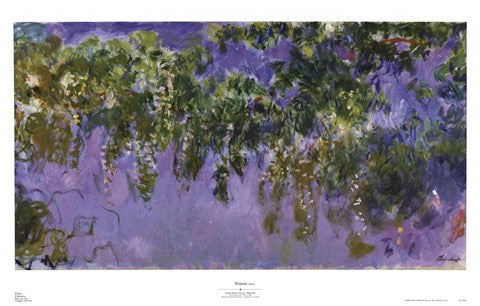 Wisteria