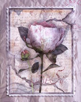 Love Letter Peonies