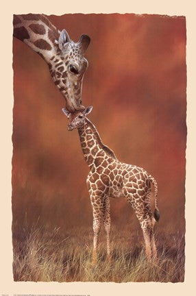 Giraffe Kiss