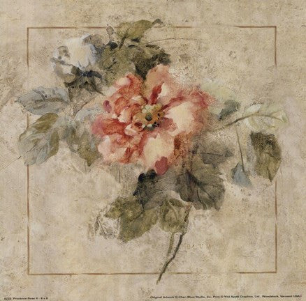 Provence Rose II