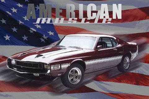 Gt-350 - American Muscle (Mural)