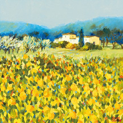 Lemon Grove, Tuscany