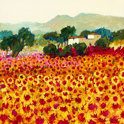 Sunflower Sunset, Tuscany