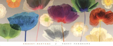 Poppy Panorama