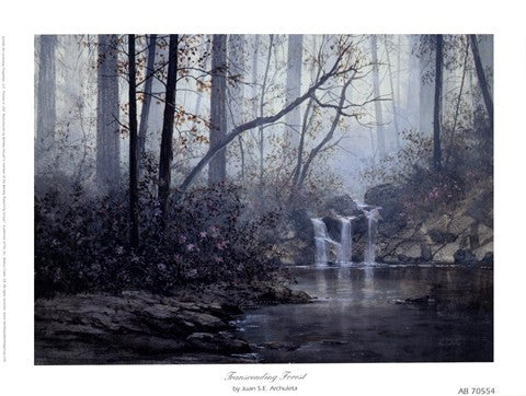 Transcending Forest