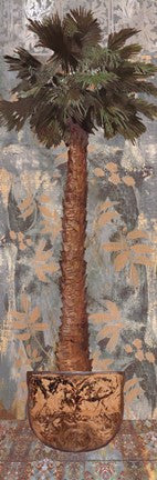 Maui Palm II