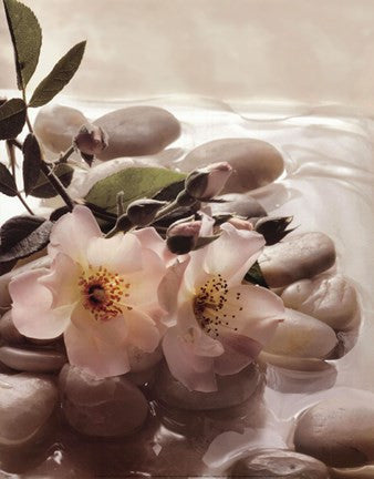 Spa River I
