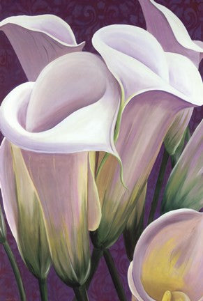 Purple Lillies