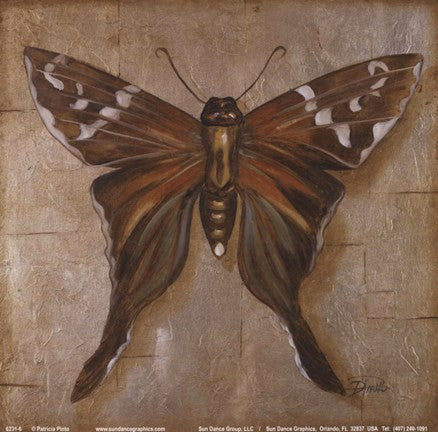 Brown Butterfly