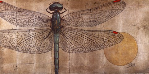 Dragonfly On Silver